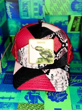 Goorin bros snake 🐍